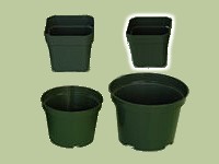 2¼" Square Plastic Pots