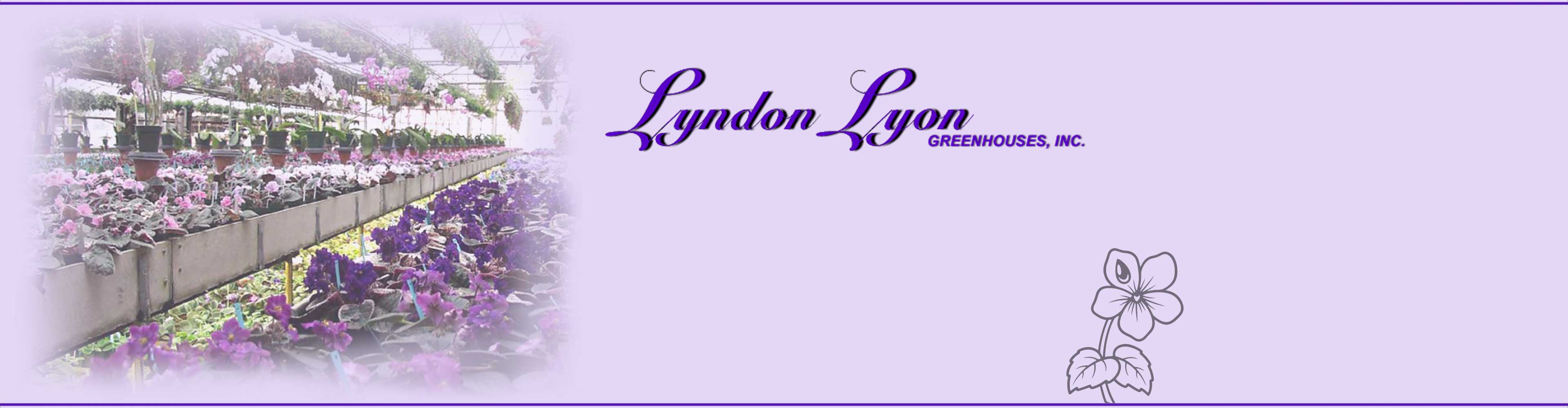 footer image with contact information