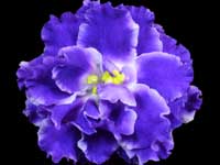 EK-Vesennii Grom (Spring Thunder)